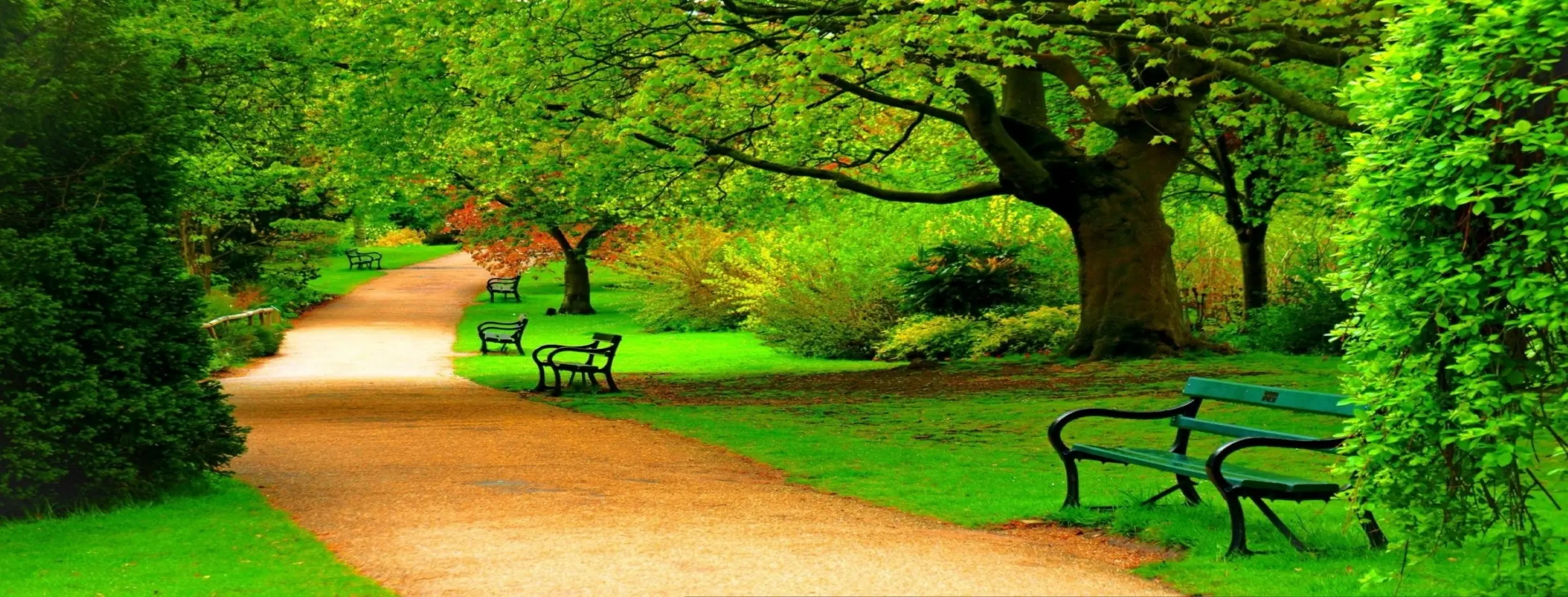 Image for Green Capital
